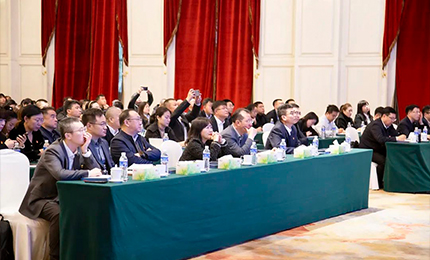 sunbet申搏官方网站集团党委&ldquo;书记带项目&rdquo;工作阶段性进展汇报会成功召开